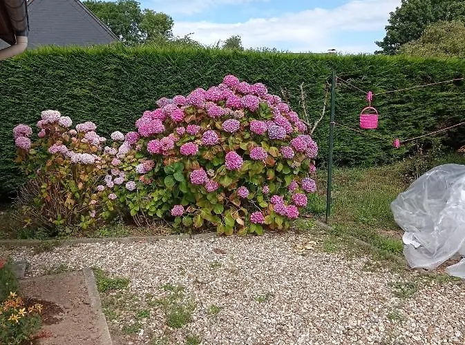 Le Relais Des Trois Cepages Hébergement de vacances