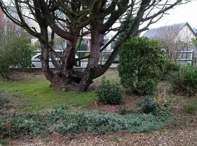 Le Relais Des Trois Cepages *